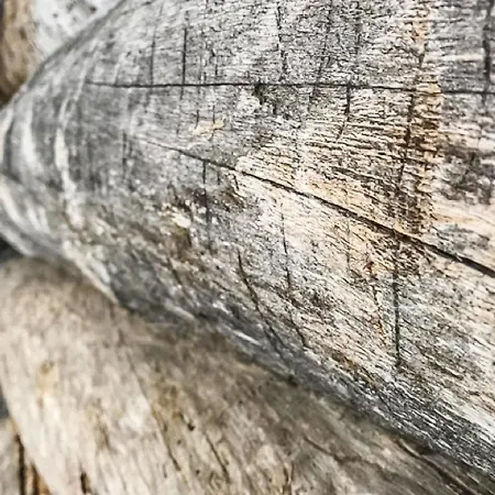 Riekonmella By Interhome